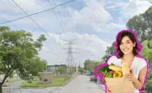 Descubre el mercadito Las Torres y sus productos de segunda mano