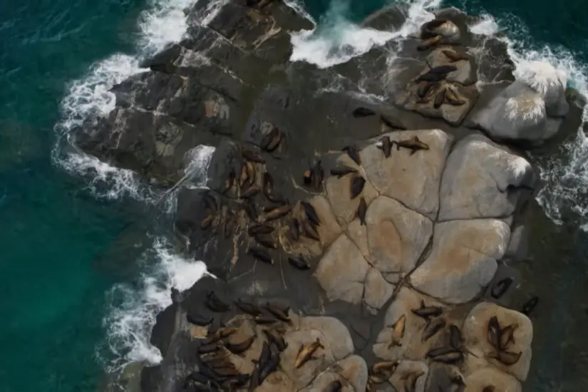 Foto: National Geographic/Youtube.