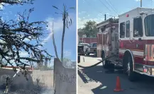 ¿Cuántos reportes han atendido Bomberos de La Paz de enero a mayo? ¡Impactante!