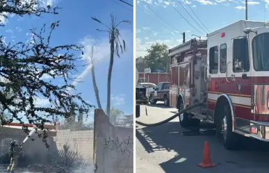 ¿Cuántos reportes han atendido Bomberos de La Paz de enero a mayo? ¡Impactante!