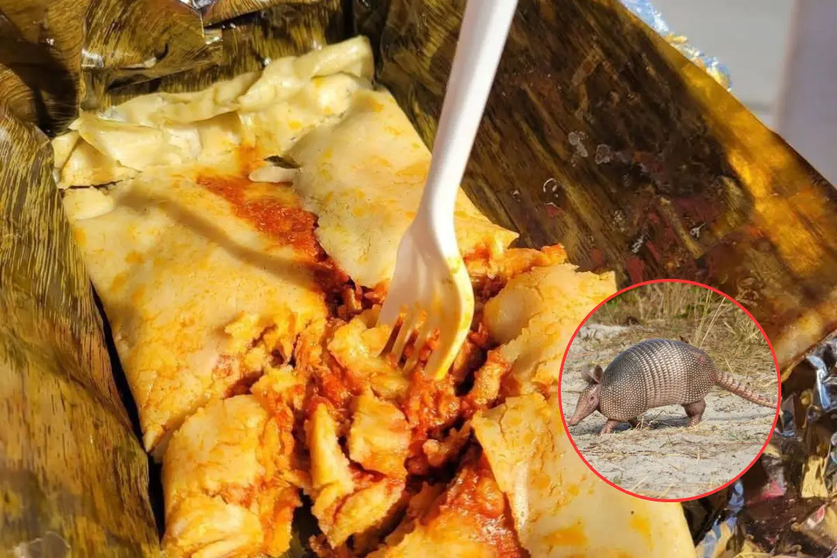 El tamal de armadillo es tan tradicional como controversial en el altiplano tamaulipeco. Foto: Ramón Sánchez