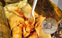 En este municipio se prepara la comida más rara de Tamaulipas
