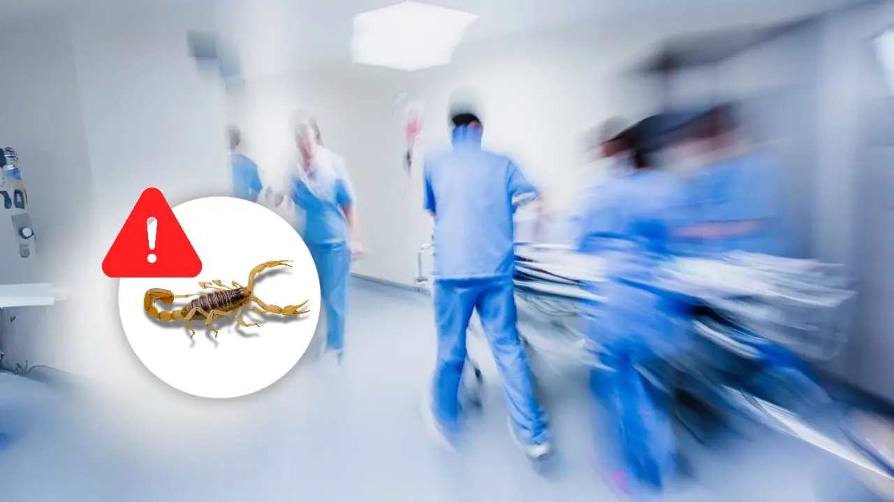 i te sucede en Durango es importante que busques ayuda médica urgente | Foto: Imagen ilustrativa