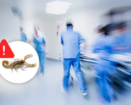 Alacrán de Durango: ¿Qué es la intoxicación por picadura de alacrán, IPPA?