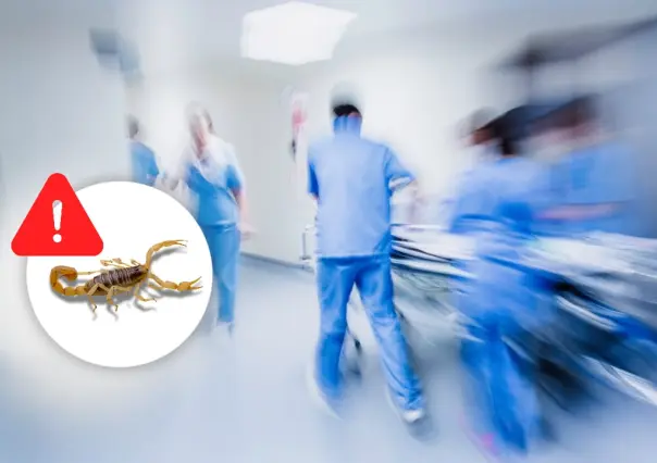 Alacrán de Durango: ¿Qué es la intoxicación por picadura de alacrán, IPPA?