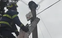 Bomberos rescatan a gatito atrapado en un poste al sur de CDMX