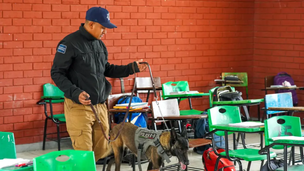 Operativo Mochila en Torreón, ¿qué es y cómo puedes solicitar uno para tu escuela?