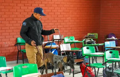 Operativo Mochila en Torreón, ¿qué es y cómo puedes solicitar uno para tu escuela?