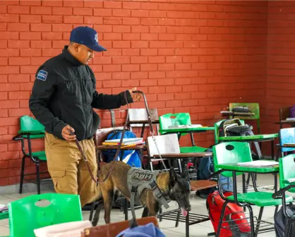 Operativo Mochila en Torreón, ¿qué es y cómo puedes solicitar uno para tu escuela?