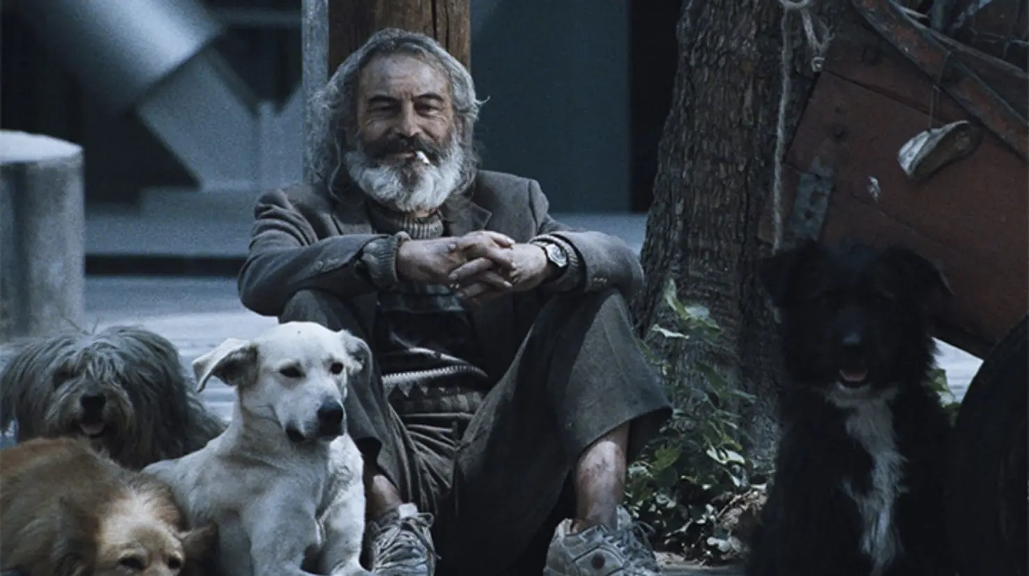 Amores Perros dirigida por Alejandro González Iñárritu celebra este año 25 años de su estreno. Foto. Especial.