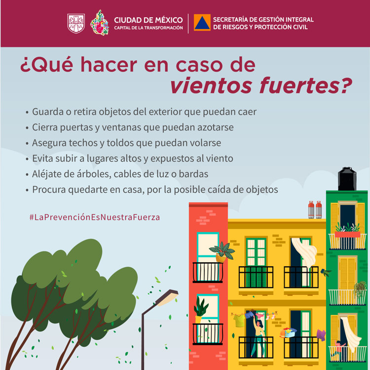 imagen-cuerpo imagen-cuerpo