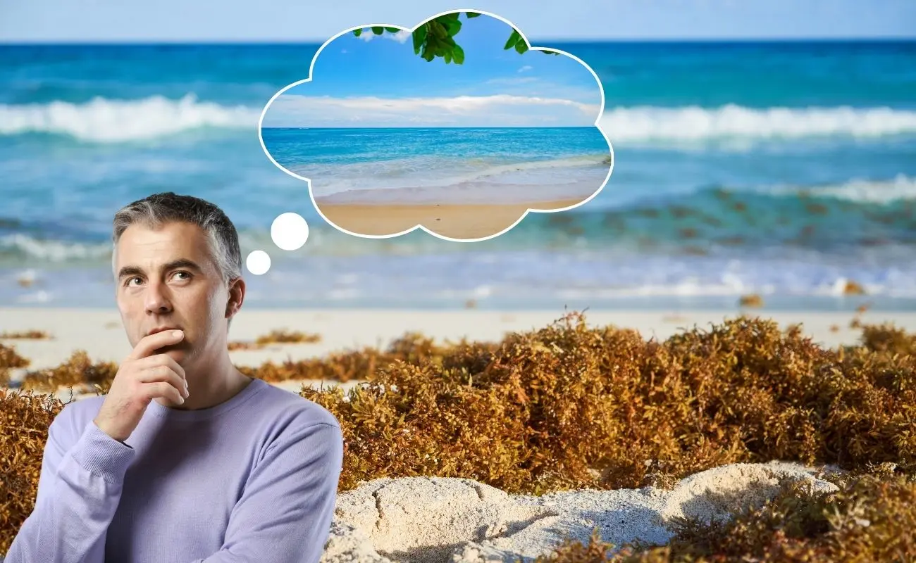 ¿En qué meses llega el sargazo a Yucatán? Foto: Canva