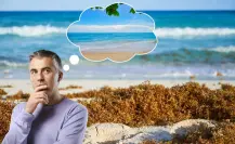 ¿Cuándo termina la temporada de Sargazo en las playas de Yucatán?