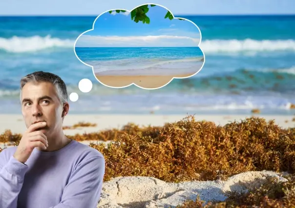 ¿Cuándo termina la temporada de Sargazo en las playas de Yucatán?