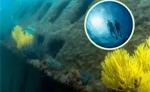 Explora barcos hundidos haciendo snorkel en la Isla Margarita