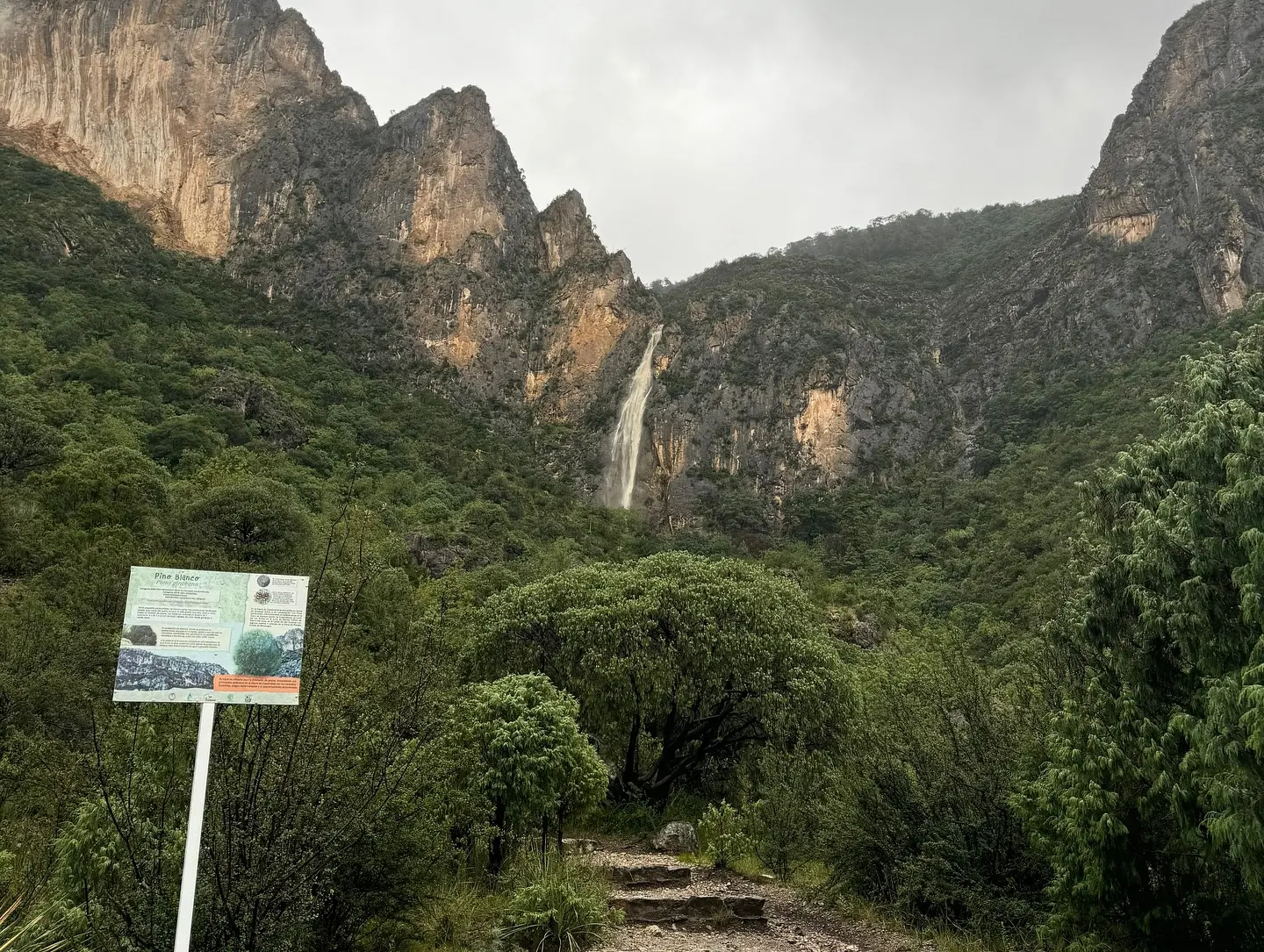 Cañón de San Lorenzo. Foto de Cañón de San Lorenzo AC.