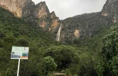 Esta es la especie nativa que grita desde las sierras de Coahuila