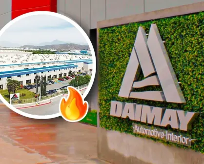 DAIMAY Ramos Arizpe, ¿qué produce en Coahuila?