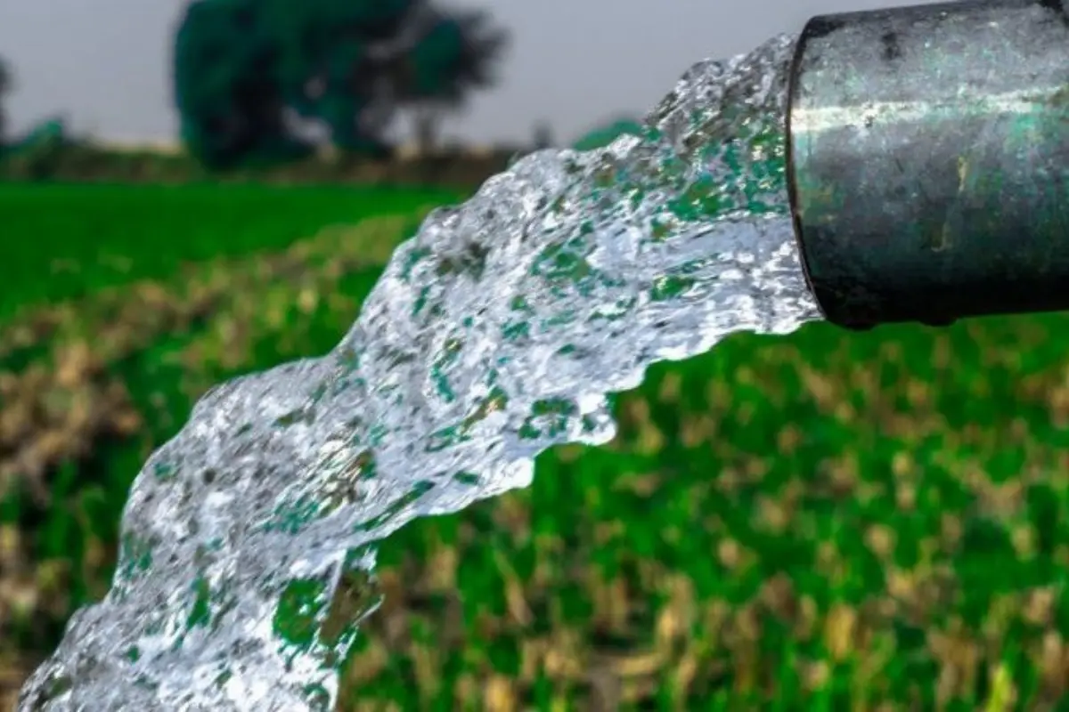 Estas acciones son fundamentales para conservar el agua dulce y prevenir inundaciones, especialmente en temporada de lluvias. Foto: Freepik