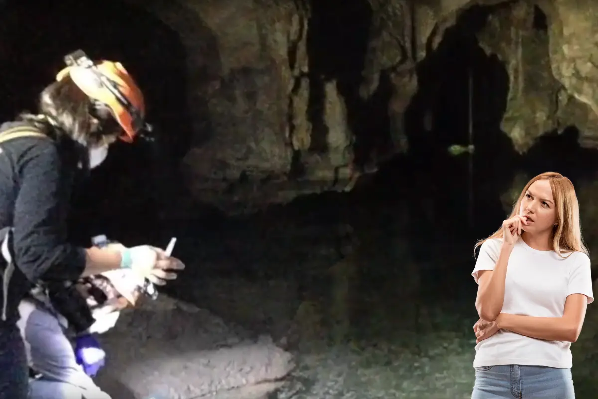 La Cueva del Pachón es un tesoro oculto de Tamaulipas que combina ciencia, belleza natural y misterio. Foto: Posta Tamaulipas