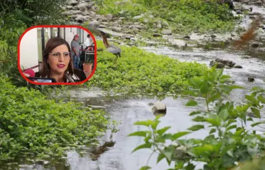 Anuncia gobierno de Tamaulipas modernización de cruces peatonales y viales en el San Marcos
