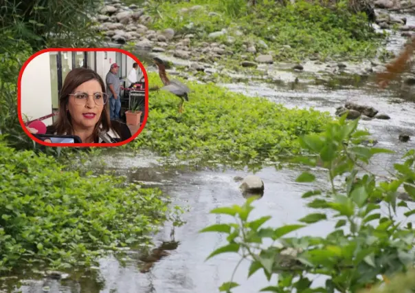 Anuncia gobierno de Tamaulipas modernización de cruces peatonales y viales en el San Marcos