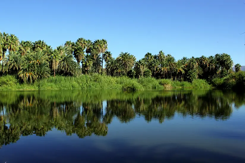 Oasis de San ignacio. Foto: Plan B Viajero.