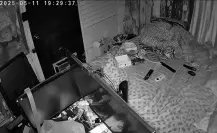 VIDEO | Así se vivió el sismo que sorprendió a Nuevo León