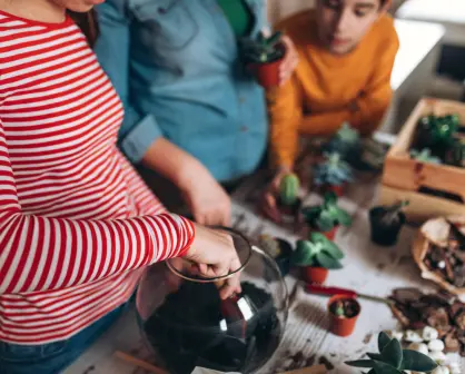 ¿Te gustan las suculentas? Haz un terrario en una taza