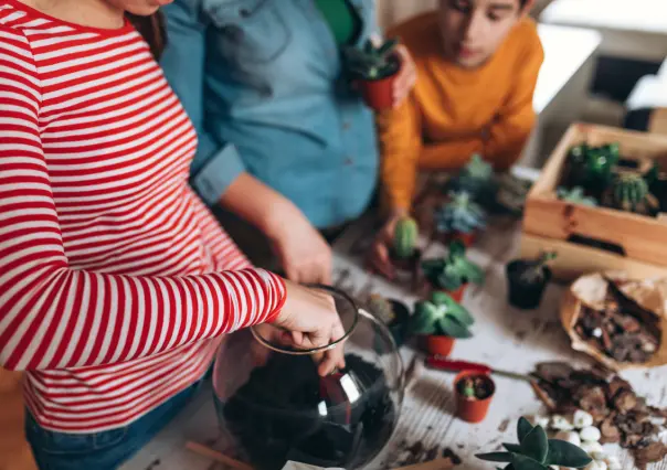 ¿Te gustan las suculentas? Haz un terrario en una taza