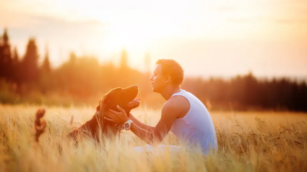 ¿Tener perros y gatos brinda beneficios económicos y emocionales, según estudio?