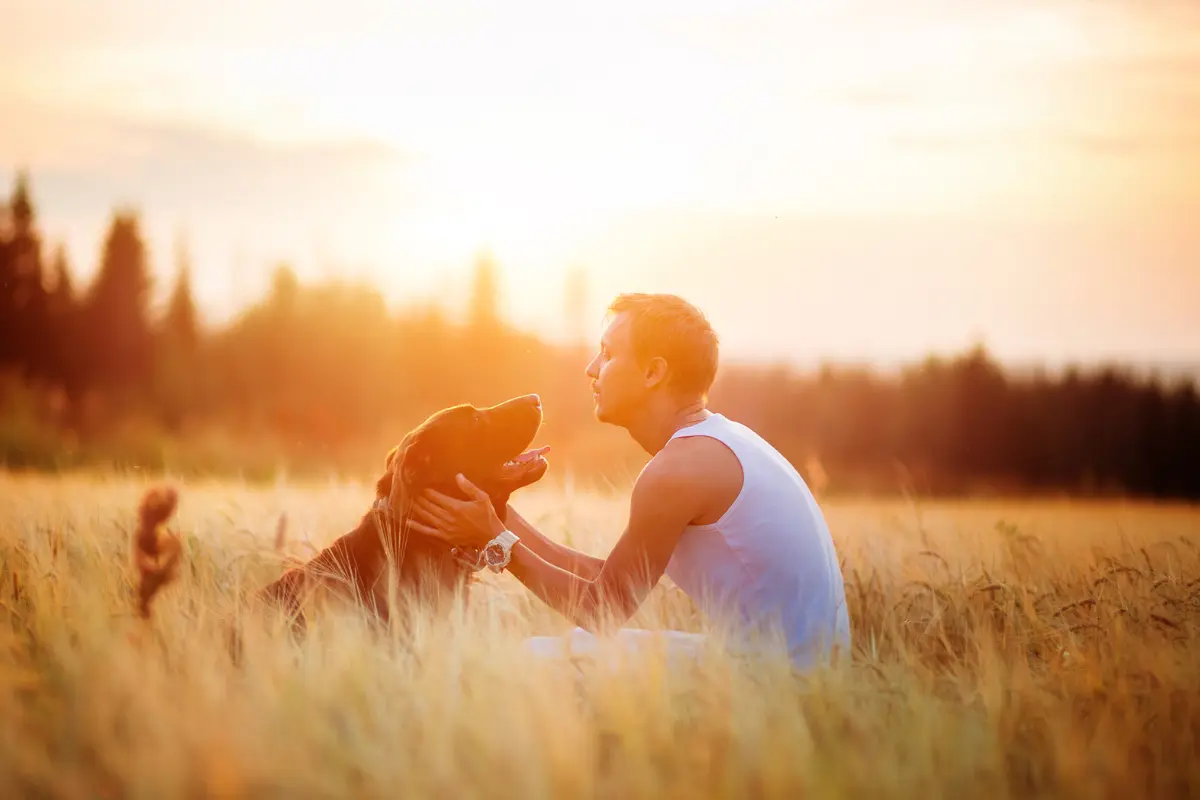 Tener un perro o un gato en casa contribuye a mejorar la calidad de vida de sus dueños de manera considerable. Foto: Canva