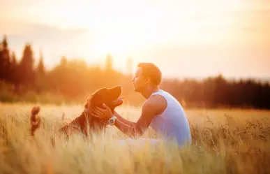 ¿Tener perros y gatos brinda beneficios económicos y emocionales, según estudio?