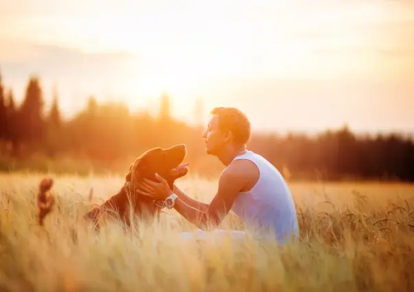 ¿Tener perros y gatos brinda beneficios económicos y emocionales, según estudio?