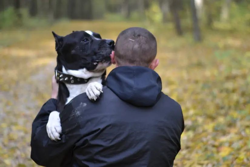 Adoptar un animal de compañía genera múltiples ventajas que impactan positivamente en la salud y la satisfacción personal. Foto: Canva