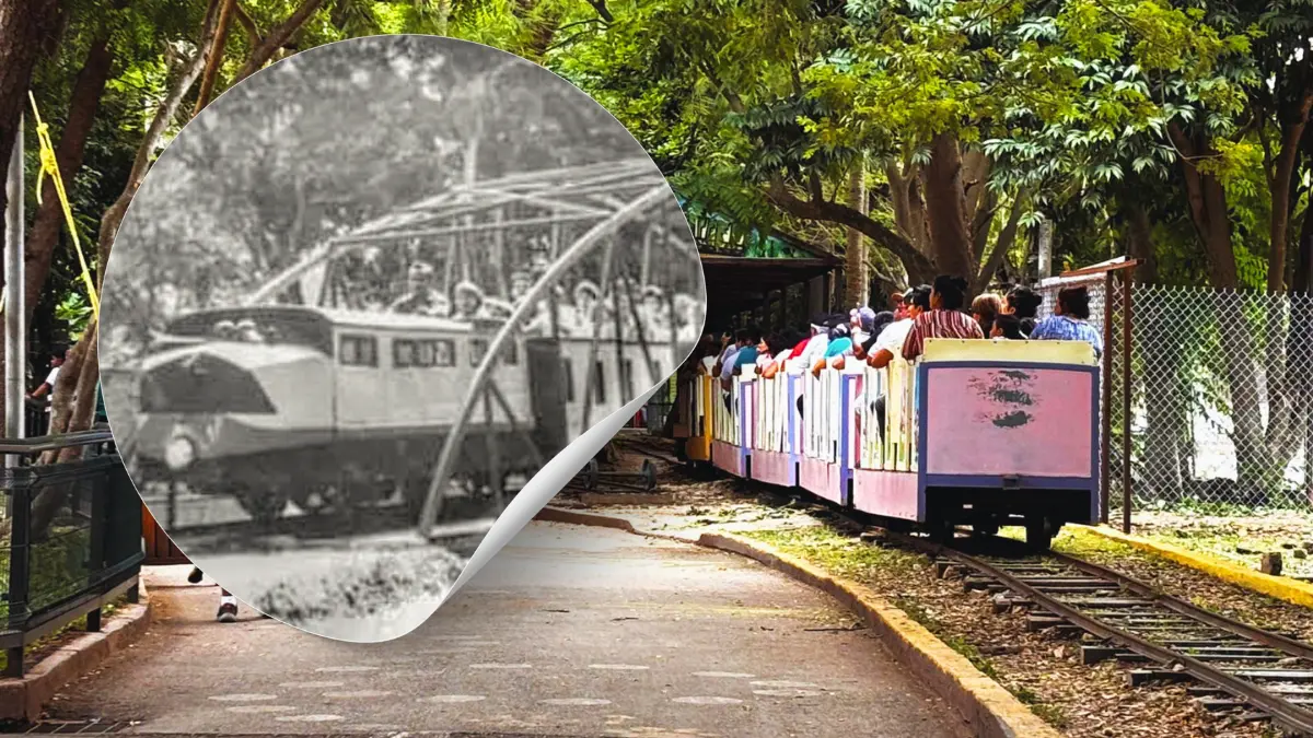 El 7 de mayo de 1955 se inauguró el trenecito de Mérida Foto: Yucatán Pasado Glorioso/Visit Mérida