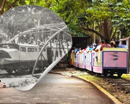 Hace 50 años: así se veía el trenecito del zoológico Centenario de Mérida