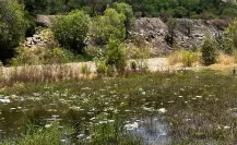 ESPECIAL | Río Tunal, el paraíso que ya no es 