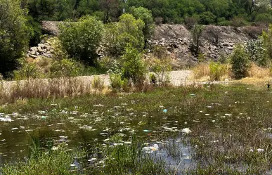 ESPECIAL | Río Tunal, el paraíso que ya no es 