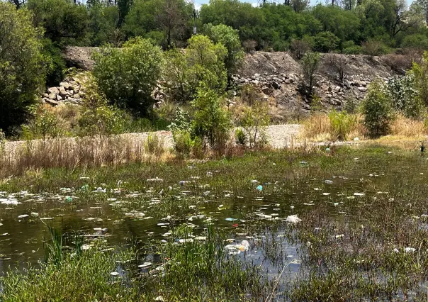 ESPECIAL | Río Tunal, el paraíso que ya no es 