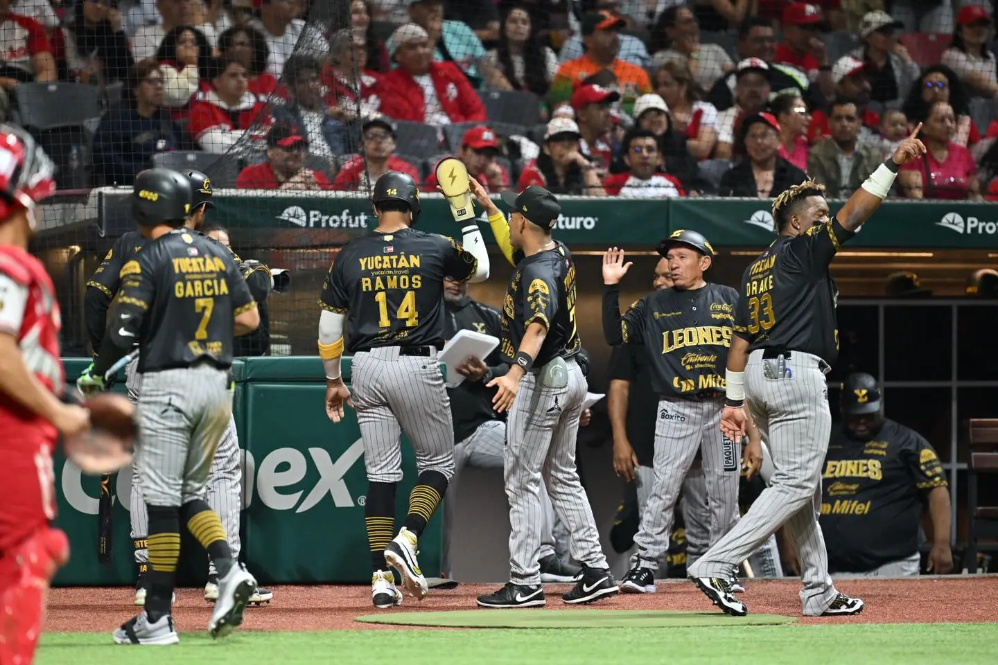 ¿Quién es el nuevo refuerzo de los Leones?. Foto: @Leones de Yucatán