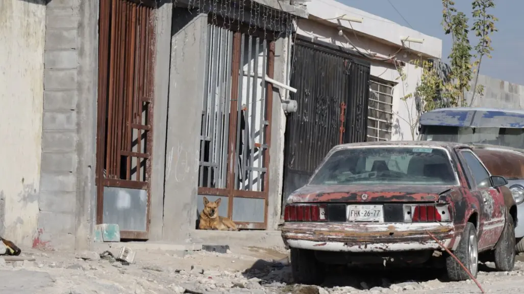 Autos olvidados en las calles de Saltillo, ¿qué se puede hacer con ellos?
