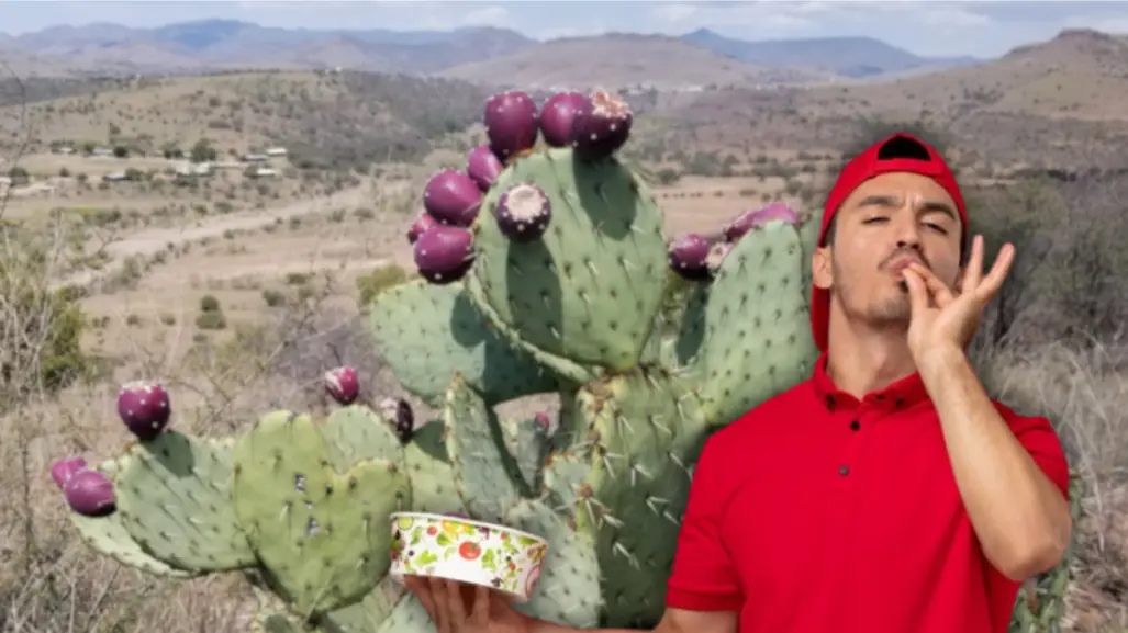 Los 5 cactus más sabrosos de Tamaulipas y el noreste de México