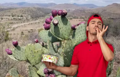 Los 5 cactus más sabrosos de Tamaulipas y el noreste de México