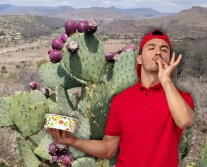 Los 5 cactus más sabrosos de Tamaulipas y el noreste de México