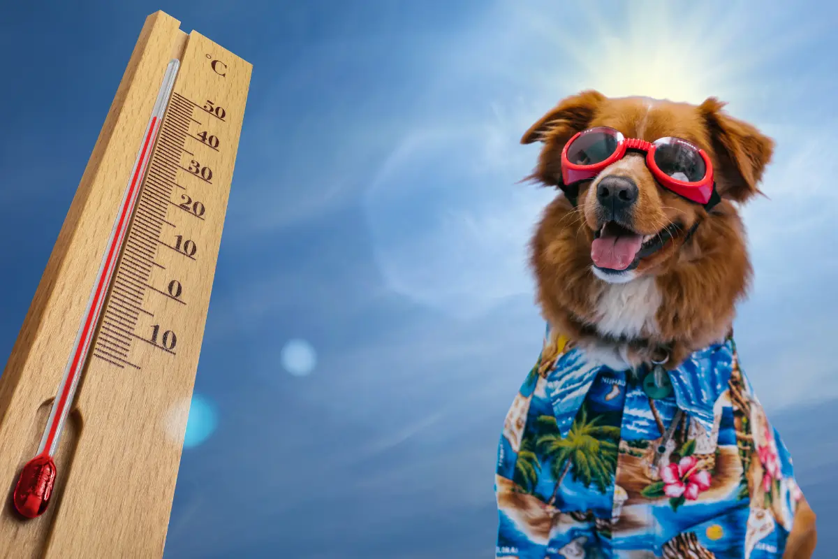 Se esperan temperaturas por arriba de los 37 gardos en casi todo el territtorio de Durango. Foto: Especial.