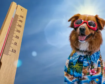 Calor en Durango, ¿cuál es el pronóstico de clima para este 13 de mayo de 2025?