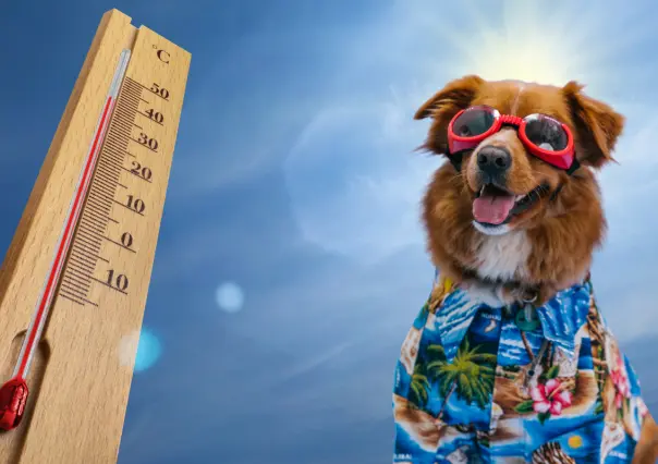 Calor en Durango, ¿cuál es el pronóstico de clima para este 13 de mayo de 2025?