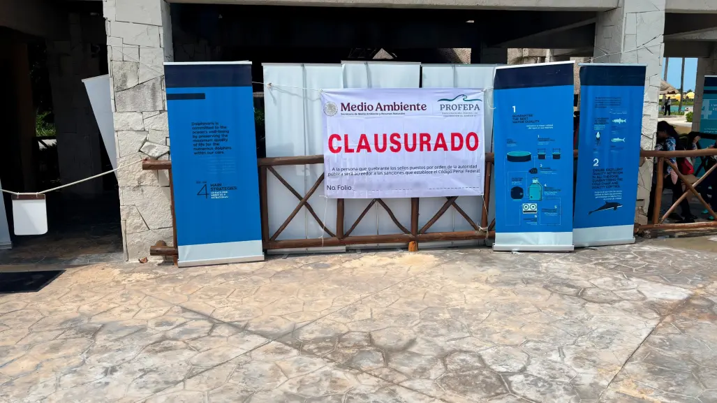 Clausuran delfinario del hotel Barceló en Quintana Roo: estas fueron las razones