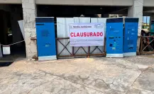 Clausuran delfinario del hotel Barceló en Quintana Roo: estas fueron las razones